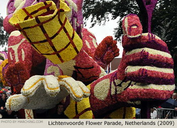 sss 2009 Bloemencorso Lichtenvoorde Photo