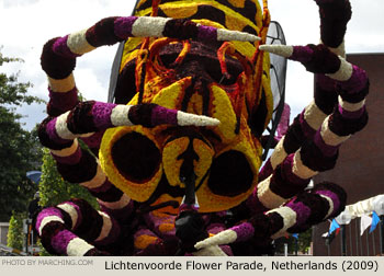 sss 2009 Bloemencorso Lichtenvoorde Photo