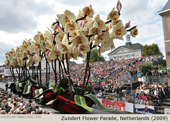 Orchids 2009 Bloemencorso Zundert Photo