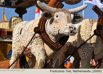 2009 Fruitcorso Tiel Photo