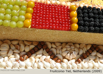 2009 Fruitcorso Tiel Photo