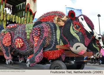 2009 Fruitcorso Tiel Photo