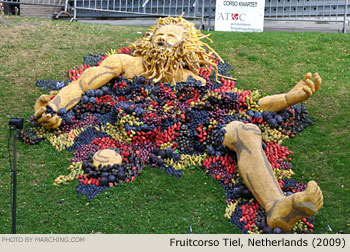 2009 Fruitcorso Tiel Photo