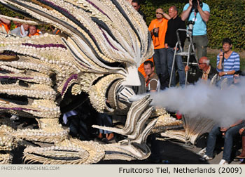 2009 Fruitcorso Tiel Photo