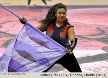 Timber Creek H.S. 2013 WGI World Championships Photo