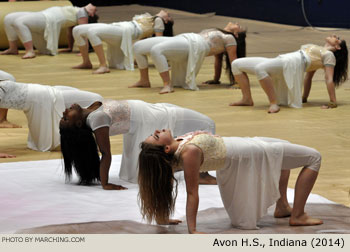 Avon H.S. 2014 WGI World Championships Photo