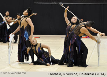 Fantasia 2014 WGI World Championships Photo