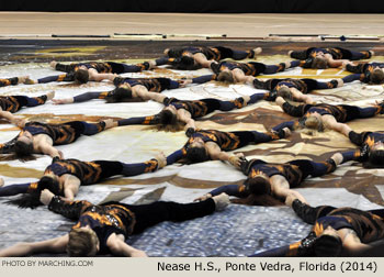 Nease H.S. 2014 WGI World Championships Photo