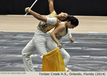 Timber Creek H.S. 2014 WGI World Championships Photo