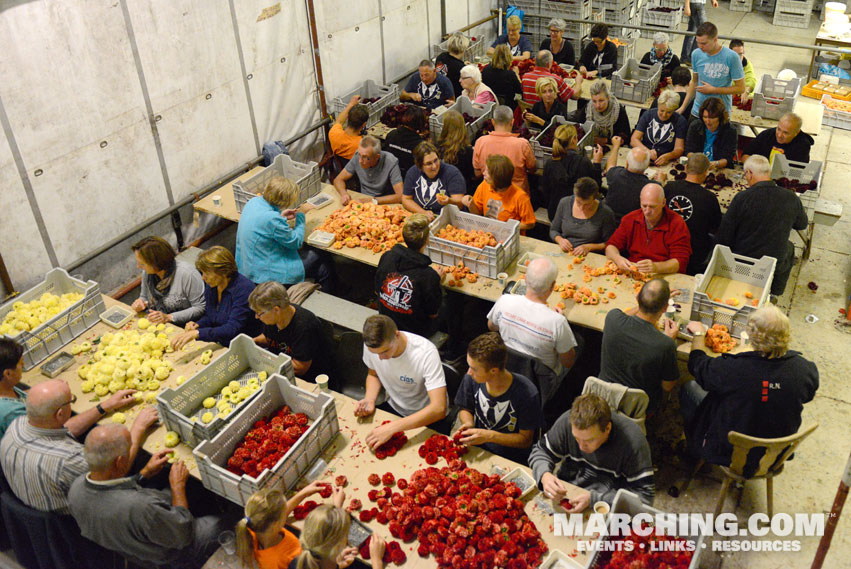 Flower Preparation - 2016 Corso Zundert